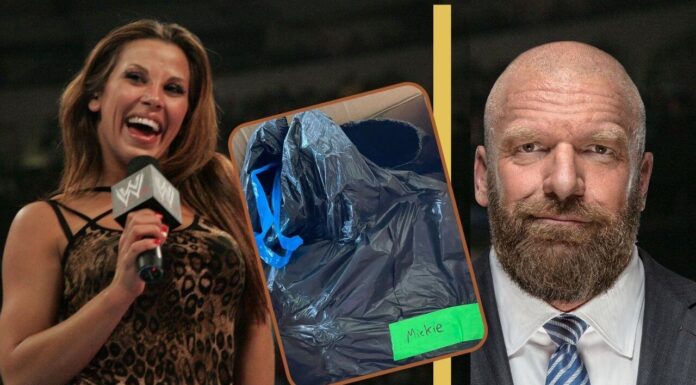 WWE-Müllsack-Skandal: Mickie James (Foto: Power-Wrestling), Triple H (Foto: WWE 2021. All Rights Reserved.), Müllsack (https://twitter.com/MickieJames)