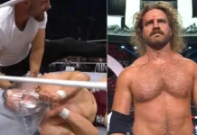 Moxley würgt Danielson, „Hangman“ triumphiert / AEW All Out 2024