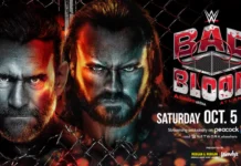 Die WWE-Fans freuen sich auf das erste "Hell in a Cell"-Match seit April 2023